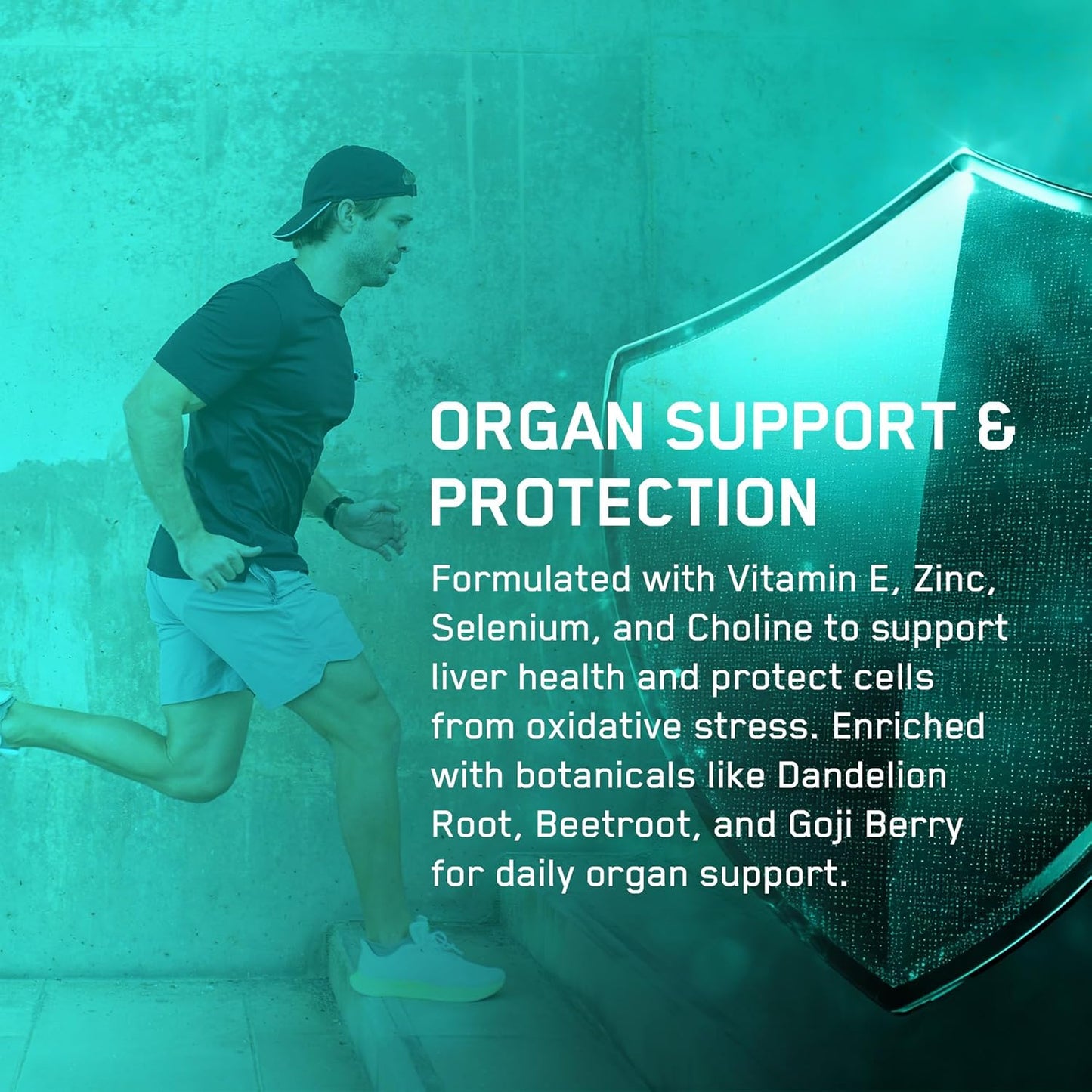 Applied Nutrition Organ Shield 300gm 30 servings